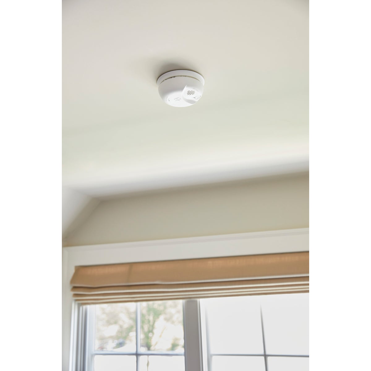 First Alert Battery Powered Ionization Combination Alarm Image 2