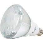 26W PAR38 CFL BULB Image 2