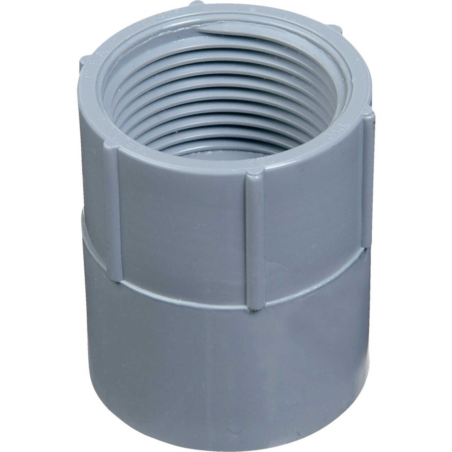 Carlon 1/2 In. Female Threaded & Socket PVC Conduit Female Adapter Image 1