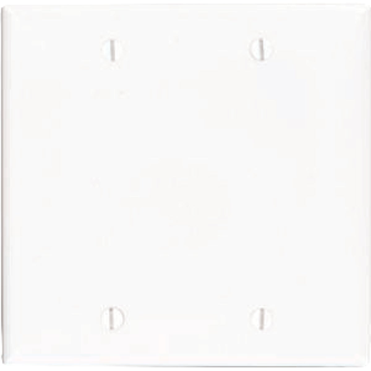 Leviton 2-Gang White Thermoplastic Nylon Blank Wall Plate