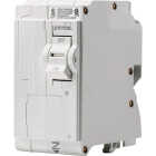 Leviton 15A Double-Pole Plug-On Standard Branch Thermal Magnetic Trip Circuit Breaker Image 1