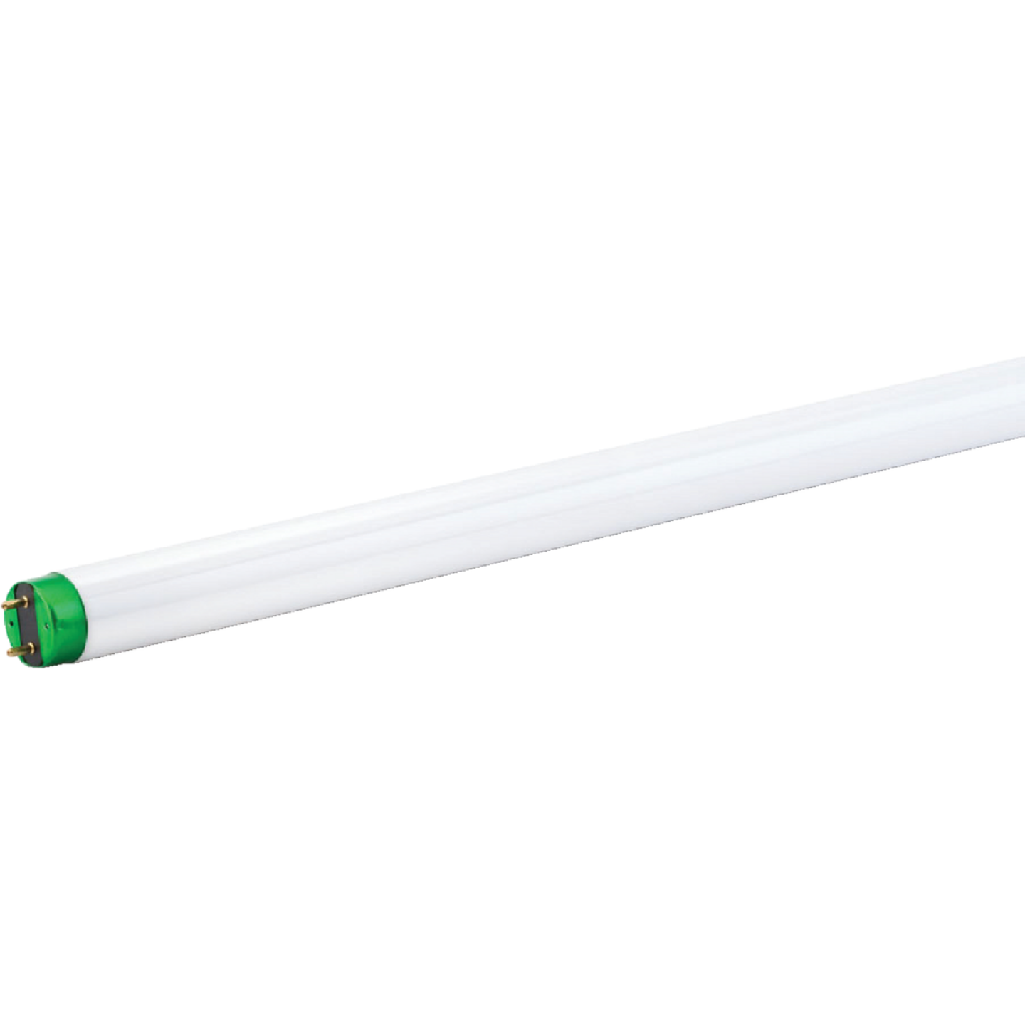 Philips ALTO 32W 48 In. Daylight T8 Medium Bi-Pin Fluorescent Tube Light Bulb (2-Pack) Image 3