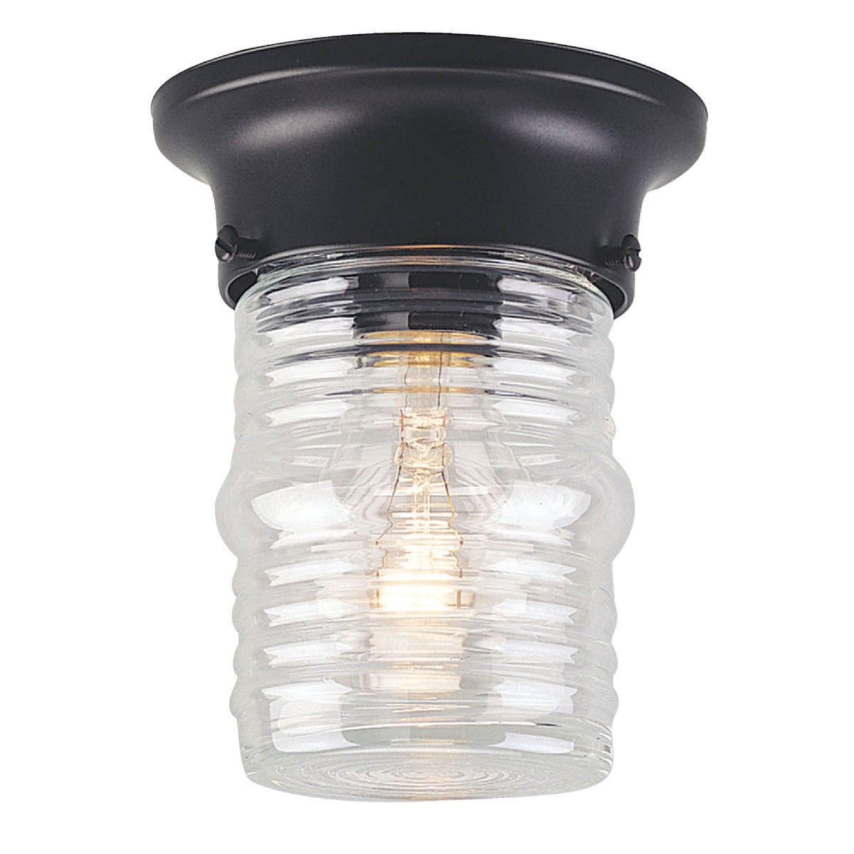 Canarm Incandescent Type A 60W Aluminum Diecast Outdoor Ceiling Light Fixture
