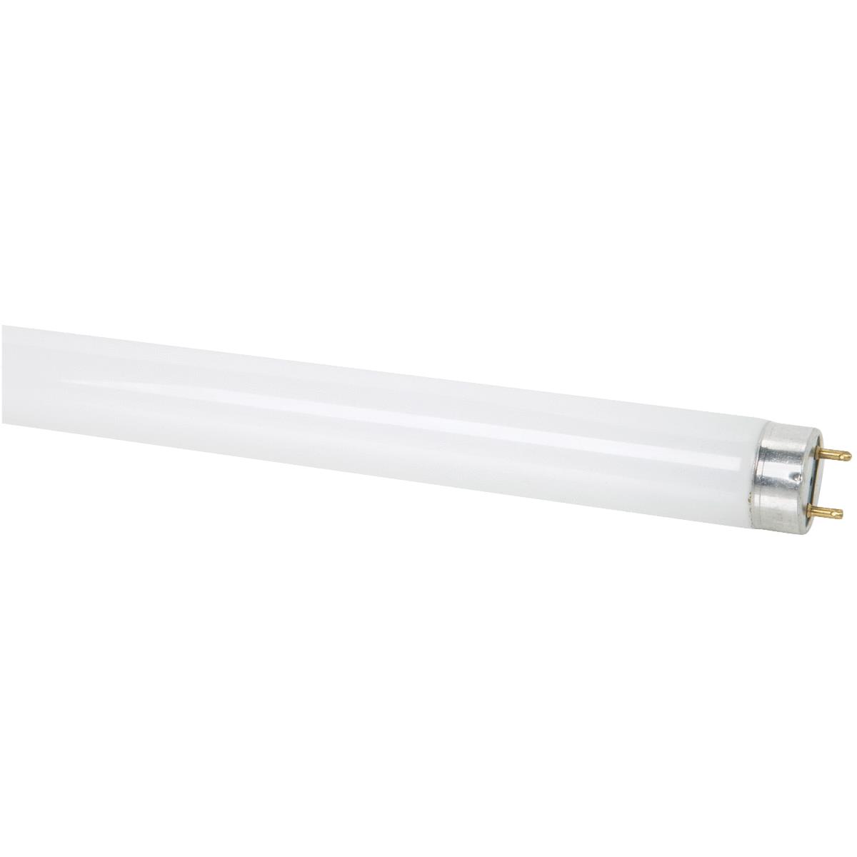 32W 4' T8 CW FLUOR TUBE