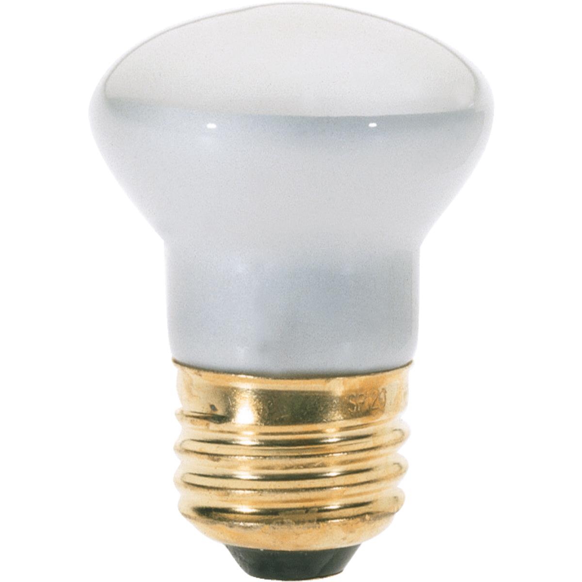 Light Bulbs & Accessories