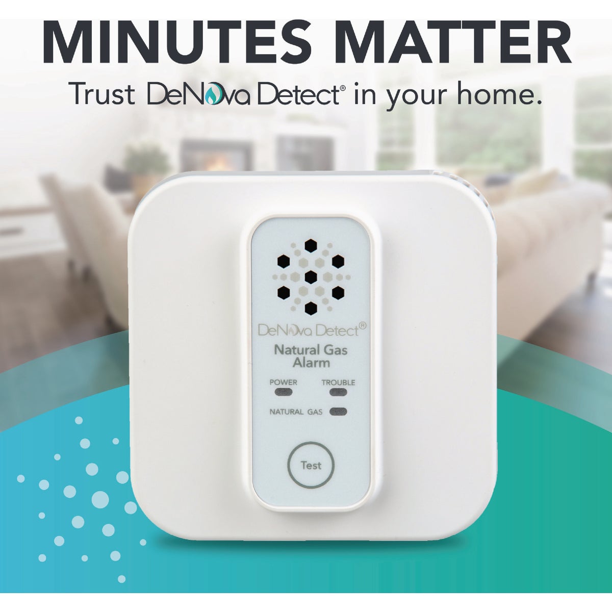 DeNova Detect 10-Year Natural Gas Alarm Image 2