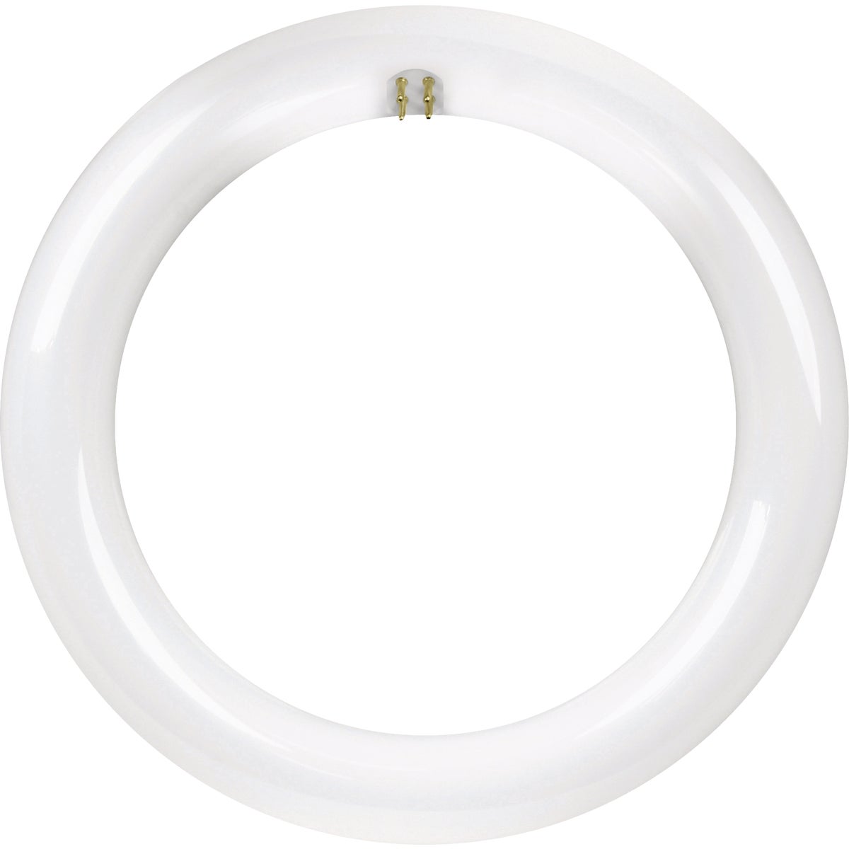 Feit Electric 15W Cool White T9 Direct Replacement Circular LED Light Bulb