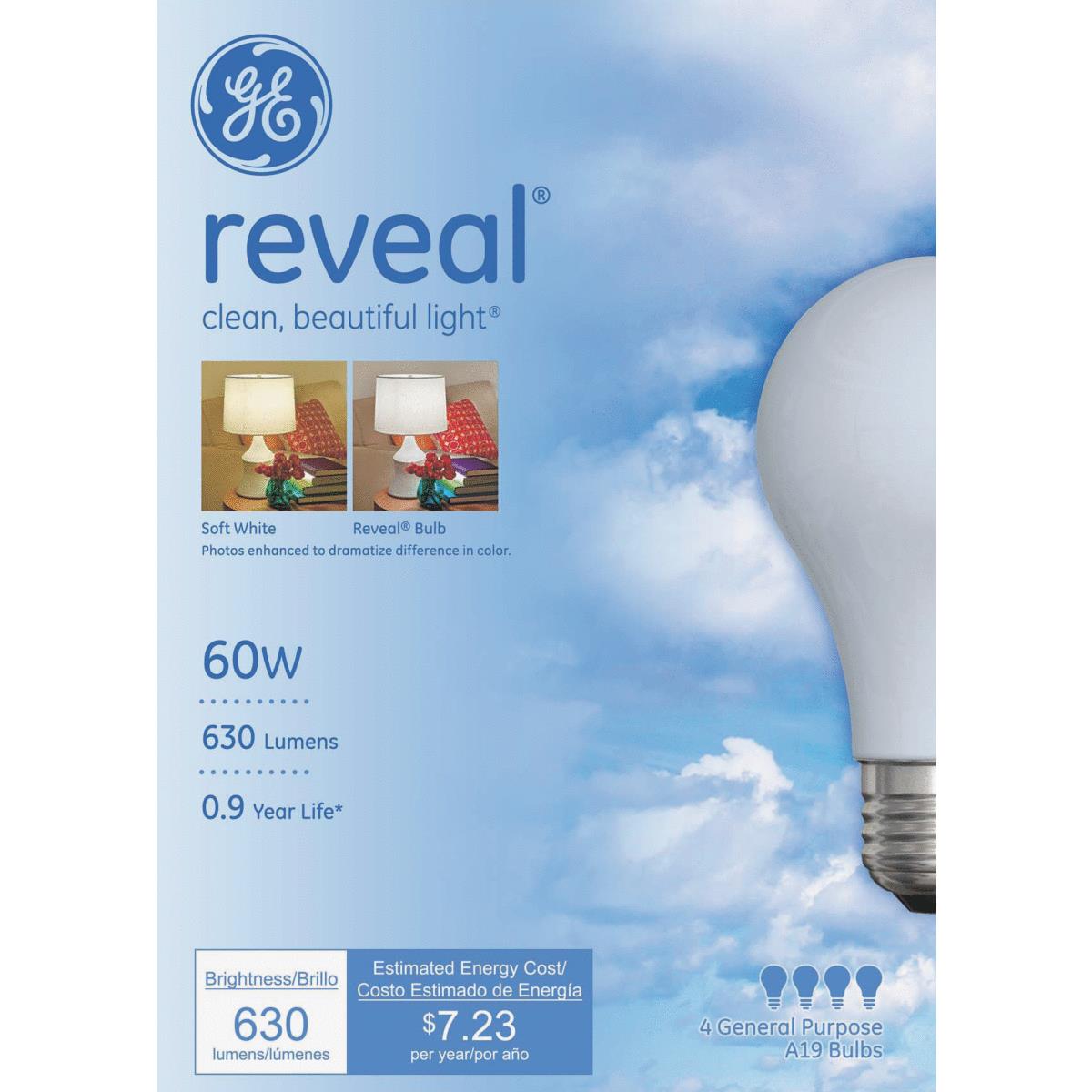 60W REVEAL BULB