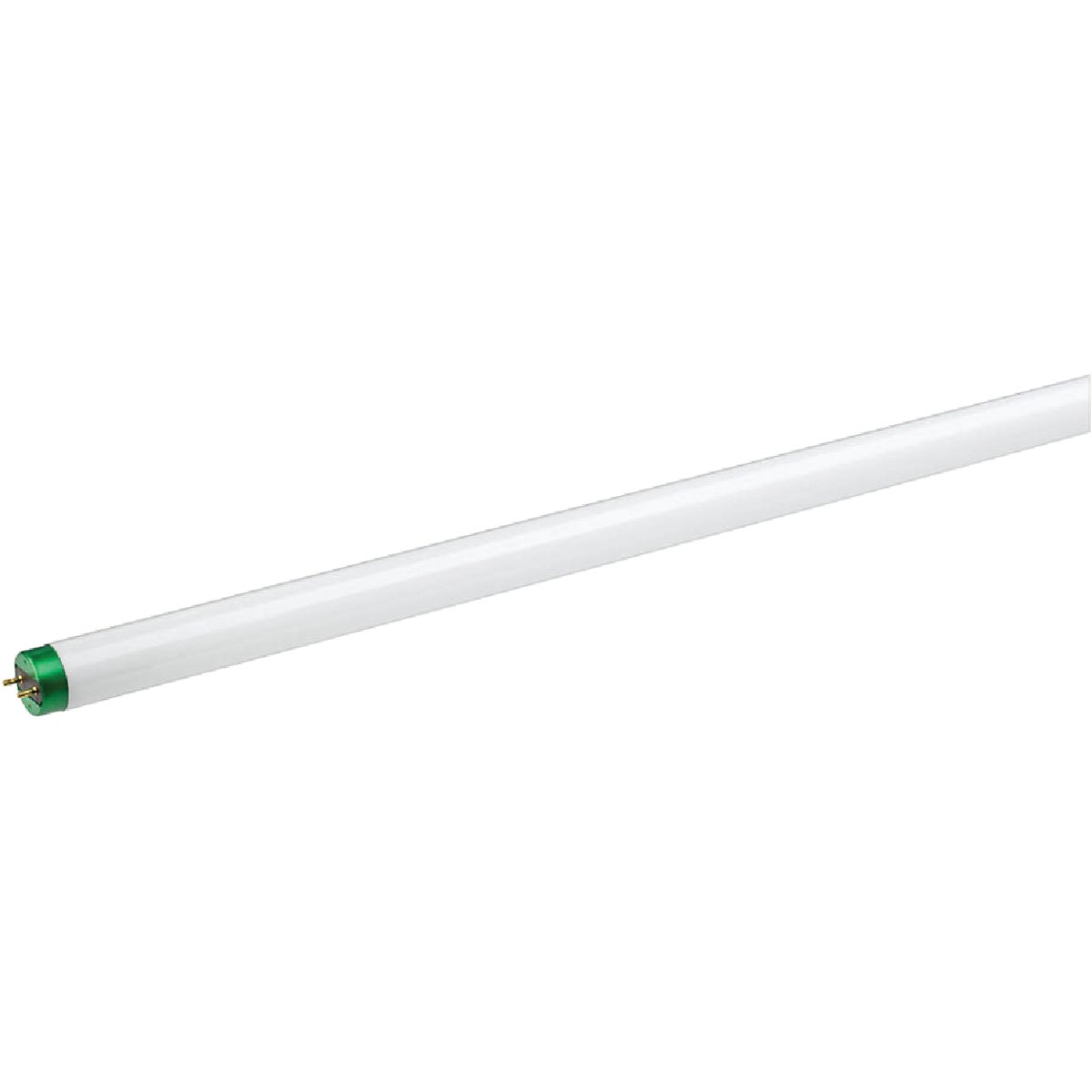 Philips 32W 48 In. Daylight T8 Medium Bi-Pin Fluorescent Tube Light Bulb (2-Pack) Image 3