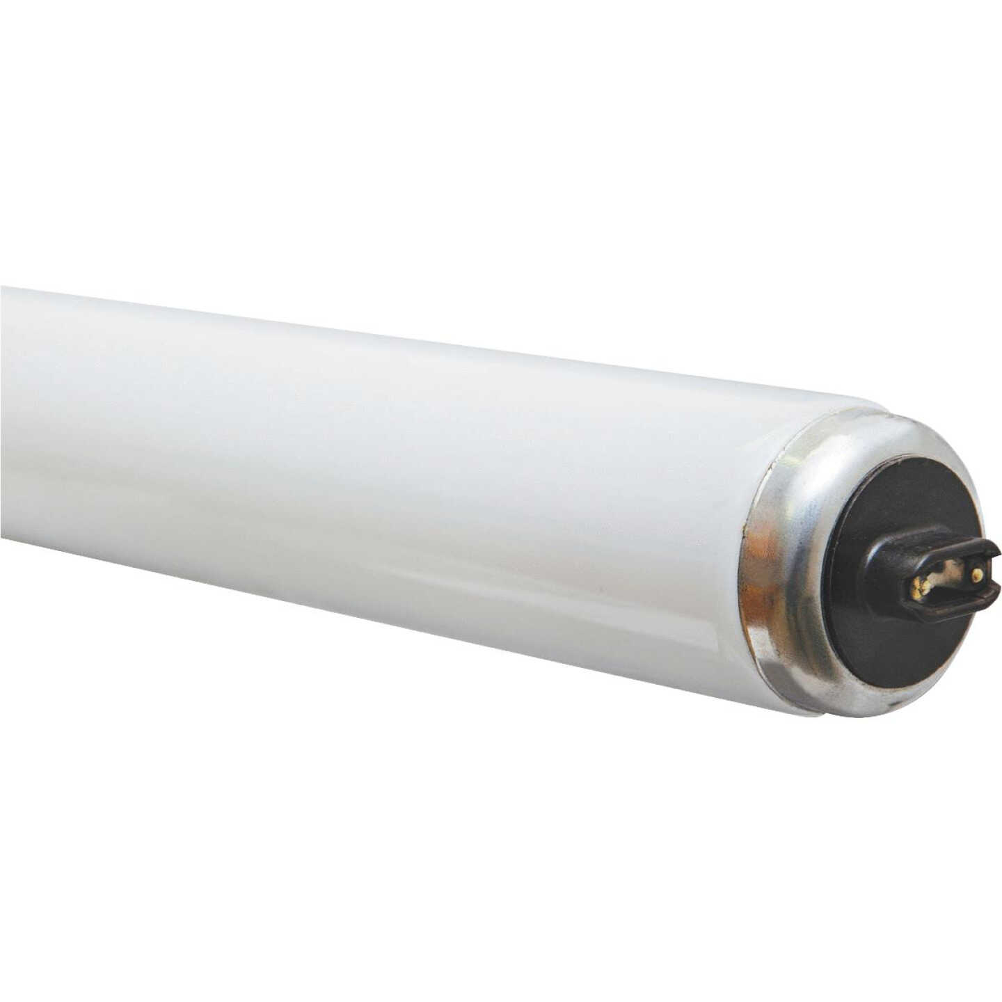75W60"T12CW/HO TUBE Image 2