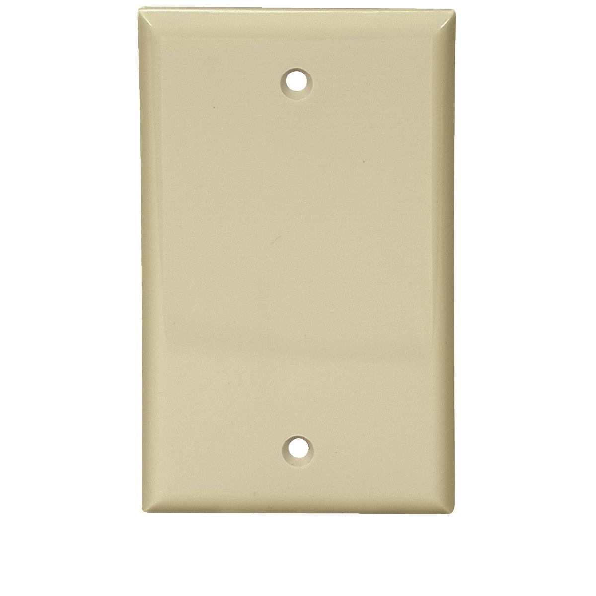 IV BLANK WALL PLATE