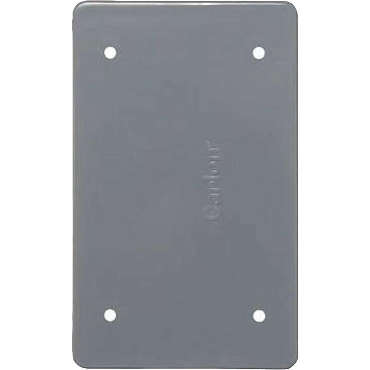 Carlon 1-Gang Field Service PVC Blank Box Cover With Gasket & Steel Mounting Screws Image 1