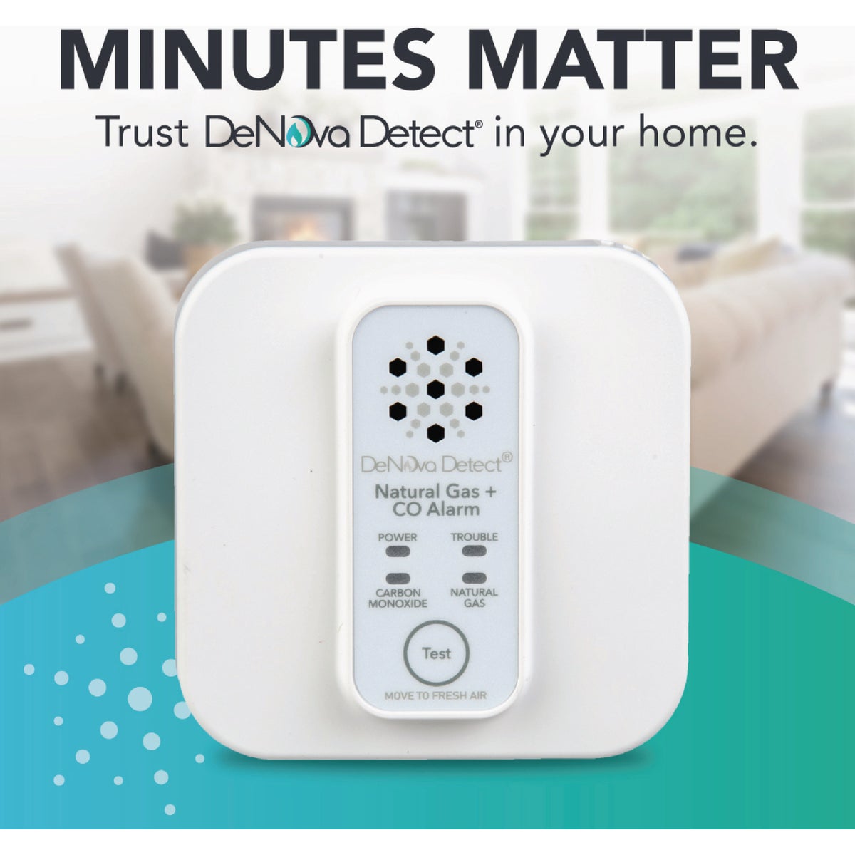 DeNova Detect 10-Year Natural Gas and Carbon Monoxide Alarm Image 2