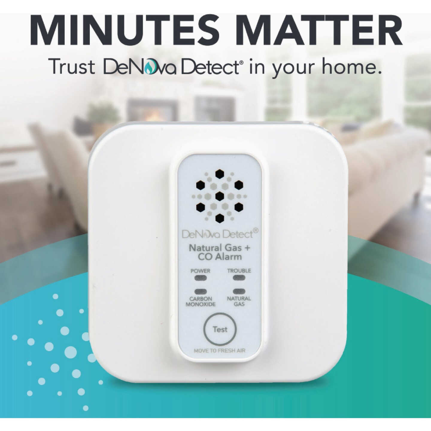 DeNova Detect 10-Year Natural Gas and Carbon Monoxide Alarm Image 2