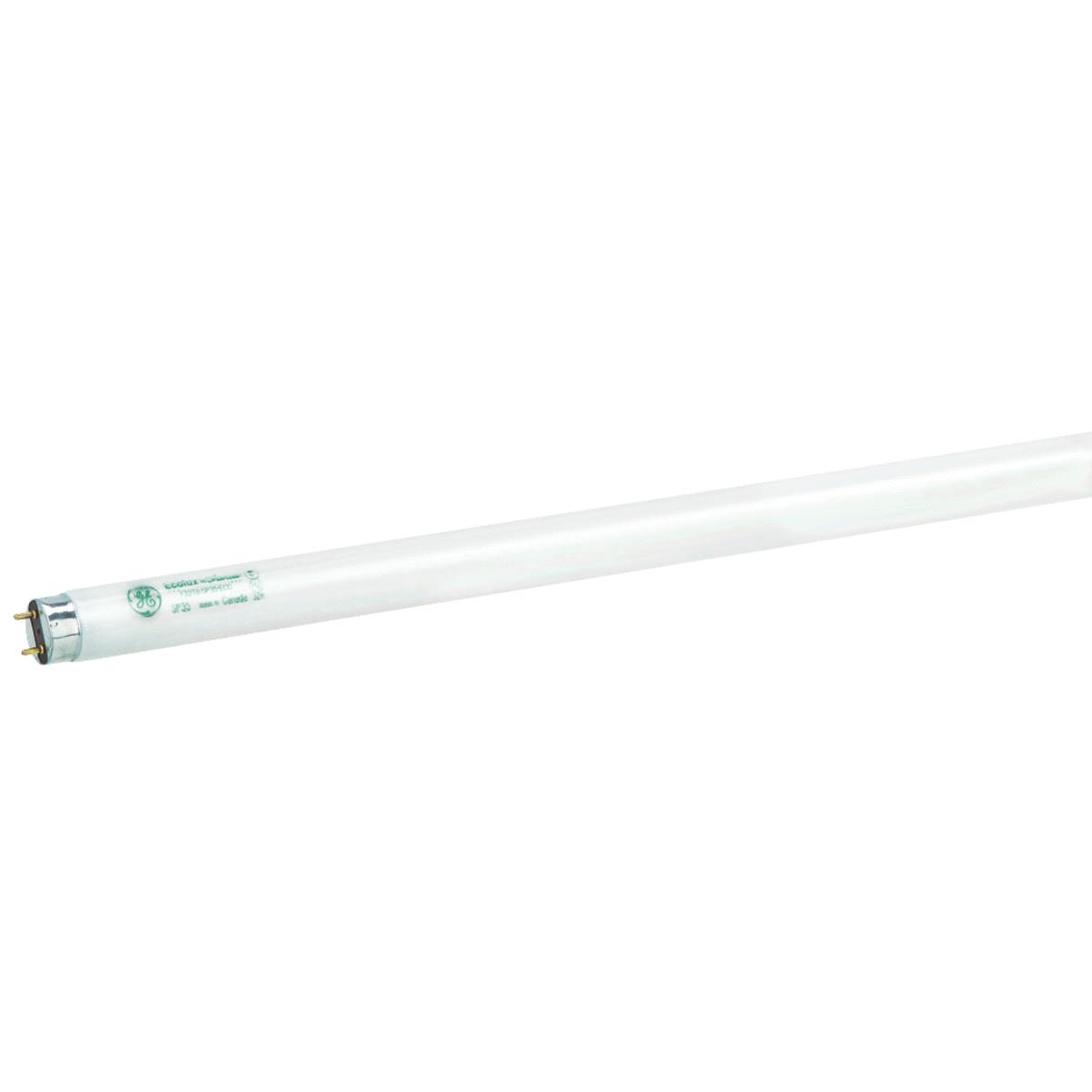32W 4' T8 CW FLUOR TUBE