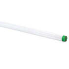 Philips ALTO 32W 48 In. Bright White T8 Medium Bi-Pin Fluorescent Tube Light Bulb (2-Pack) Image 3