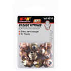 Performance Tool 10-Pack 1/4-Inch NPT Straight Grease Fittings Image 2