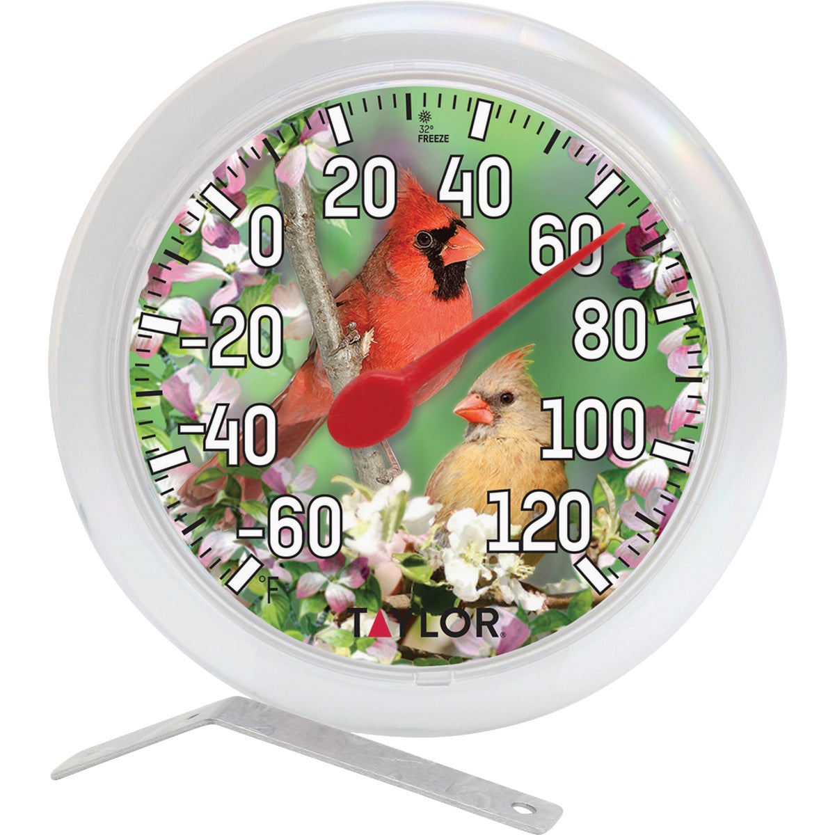 Taylor 6" Fahrenheit -60 To 120 Outdoor Wall Thermometer