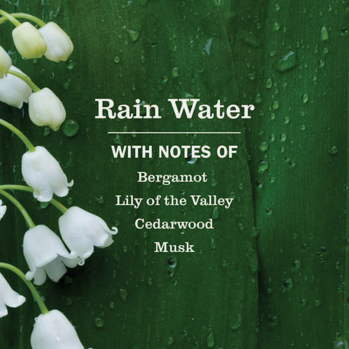 Mrs. Meyer's 16 Oz. Rainwater Multi-Surface Everyday Cleaner Image 2