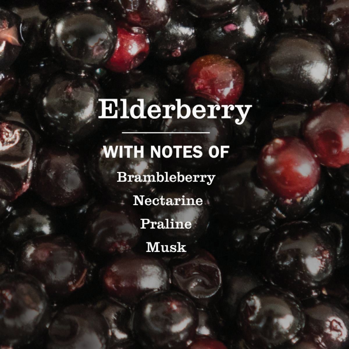 Mrs. Meyer's Clean Day 16 Oz. Elderberry Liquid Dish Soap Image 3