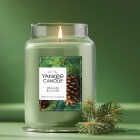 Yankee Candle 22 Oz. Balsam & Cedar Large Jar Candle Image 6