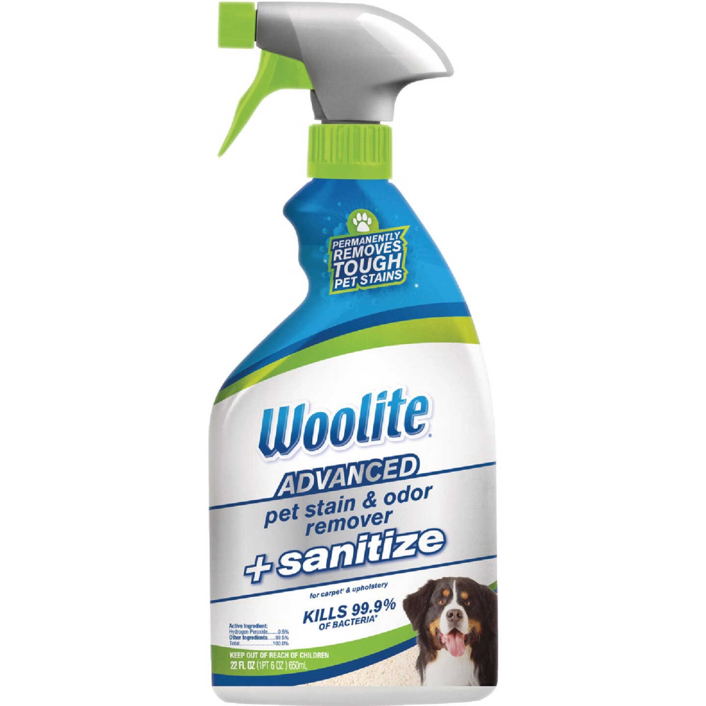 Woolite 22 Oz. Advanced Pet Carpet Stain & Odor Remover + Sanitize Image 1