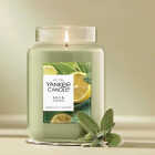 Yankee Candle 22 Oz. Sage & Citrus Large Jar Candle Image 6