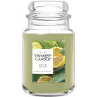 Yankee Candle 22 Oz. Sage & Citrus Large Jar Candle Image 1