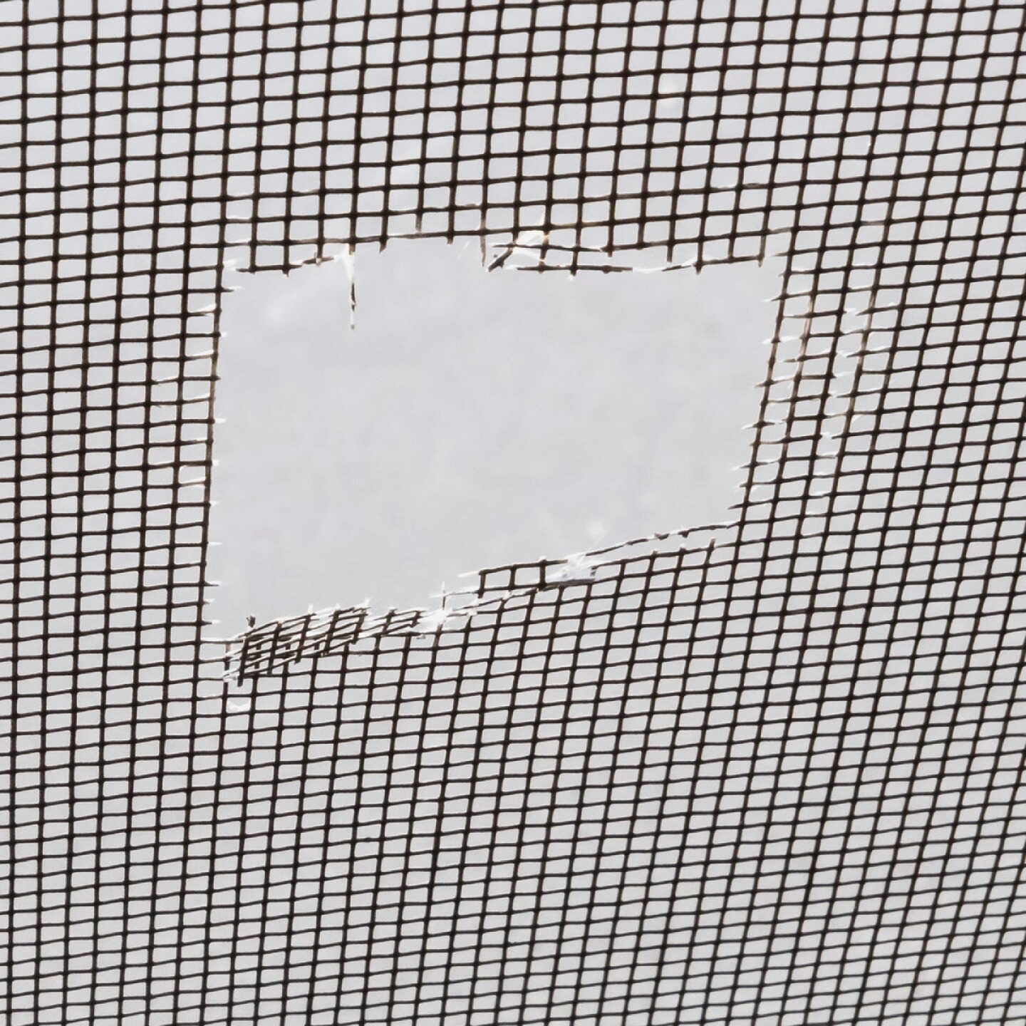 Magic Mesh 6 Ft. x 2 In. Screen Repair Tape Image 3