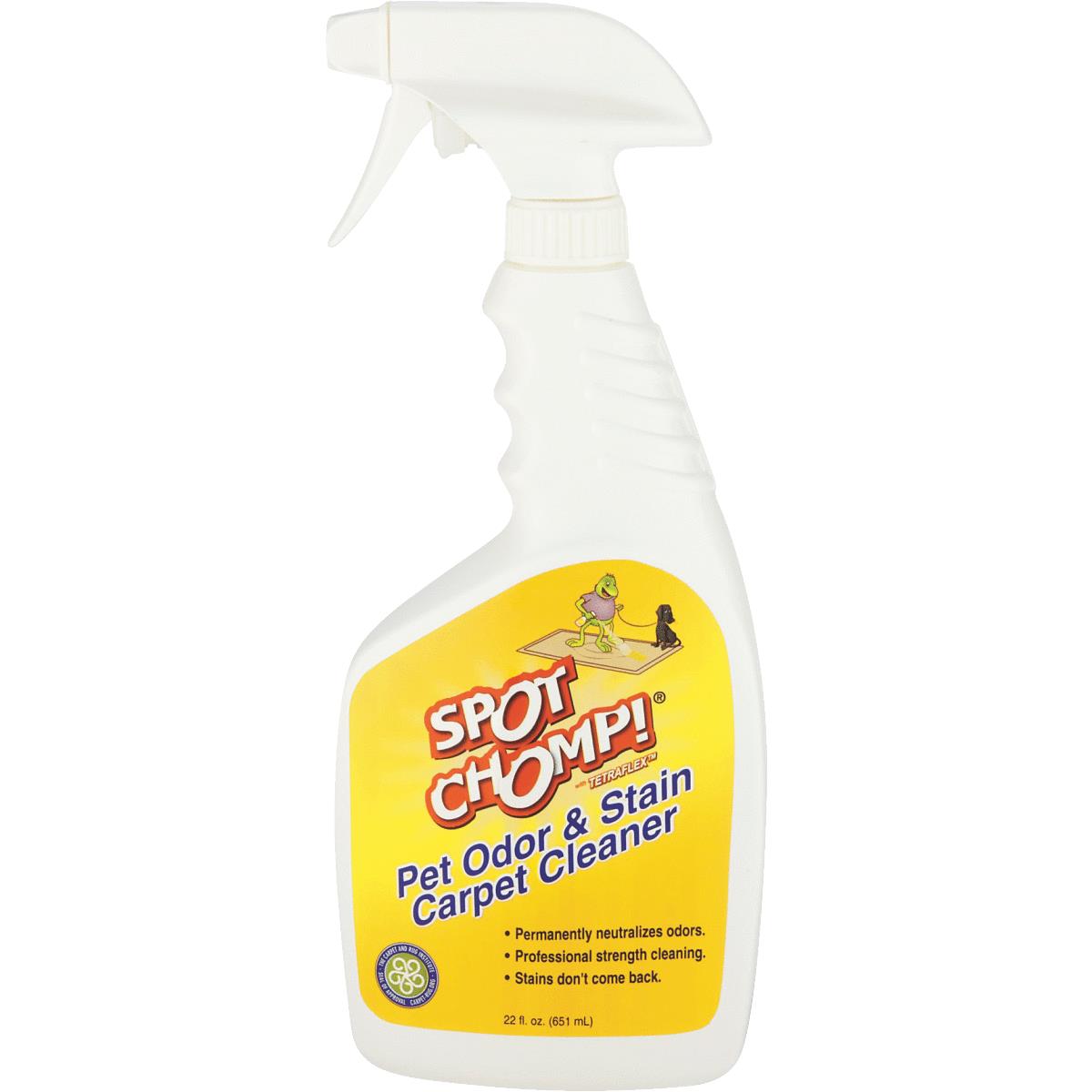 Carpet Cleaners