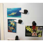 Master Magnetics 3-1/2 In. White Magnetic Clip (2-Pack) Image 5