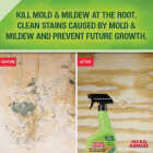 Mold Armor Rapid Clean Remediation 32 Oz. Mold Removal Trigger Image 3