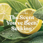 Yankee Candle 14-1/4 Oz. Sage & Citrus Medium Pillar Candle Image 4
