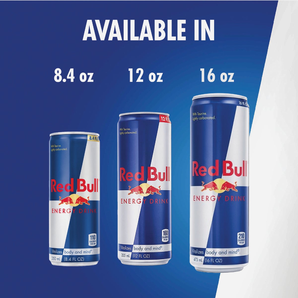 Red Bull 12 Oz. Sea Blue Edition Juneberry Energy Drink Image 2