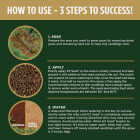 Scotts EZ Seed 2 Lb. Sun & Shade Dog Spot Repair Mulch, Seed and Soil Amendment Combination Image 6