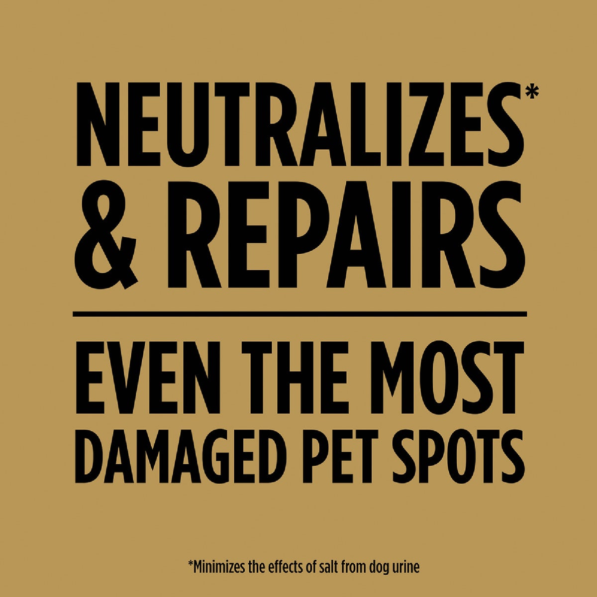 Scotts EZ Seed 2 Lb. Sun & Shade Dog Spot Repair Mulch, Seed and Soil Amendment Combination Image 3