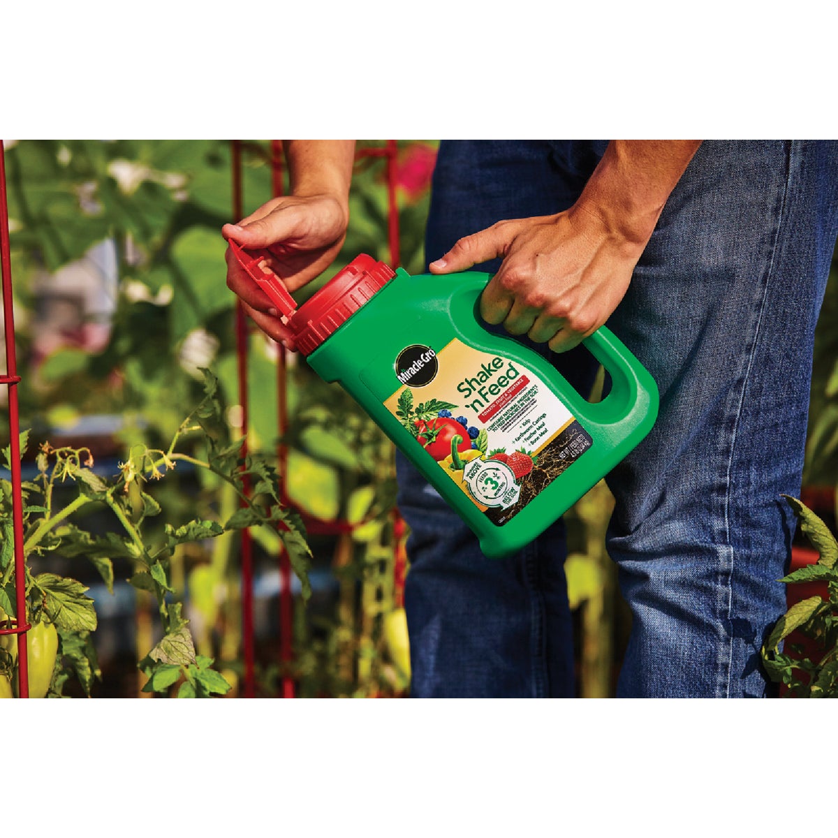 Miracle-Gro Shake 'n Feed 4.5 Lb. Tomato, Fruit & Vegetable Plant Food Image 3