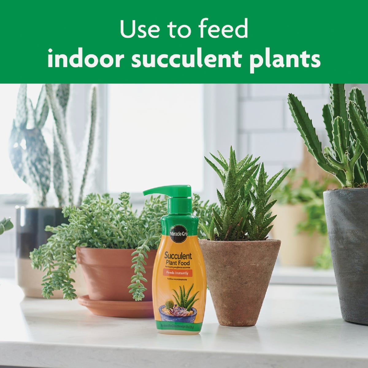 Miracle-Gro 8 Oz. Liquid Indoor Succulent Plant Food Image 5
