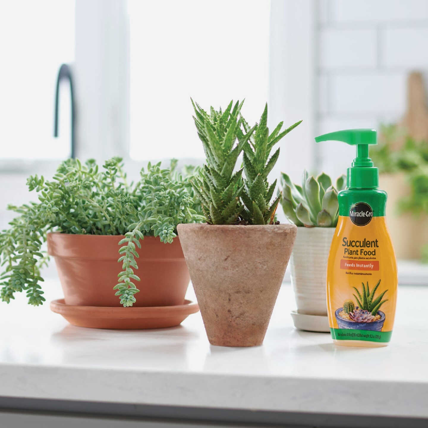 Miracle-Gro 8 Oz. Liquid Indoor Succulent Plant Food Image 3