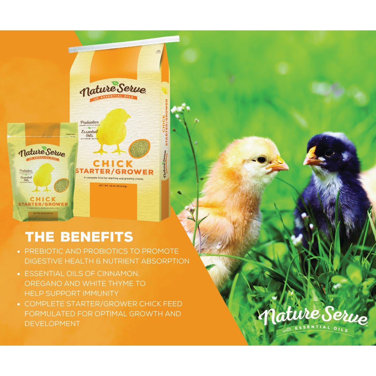 NatureServe 10 Lb. Chick Starter/Grower Image 2