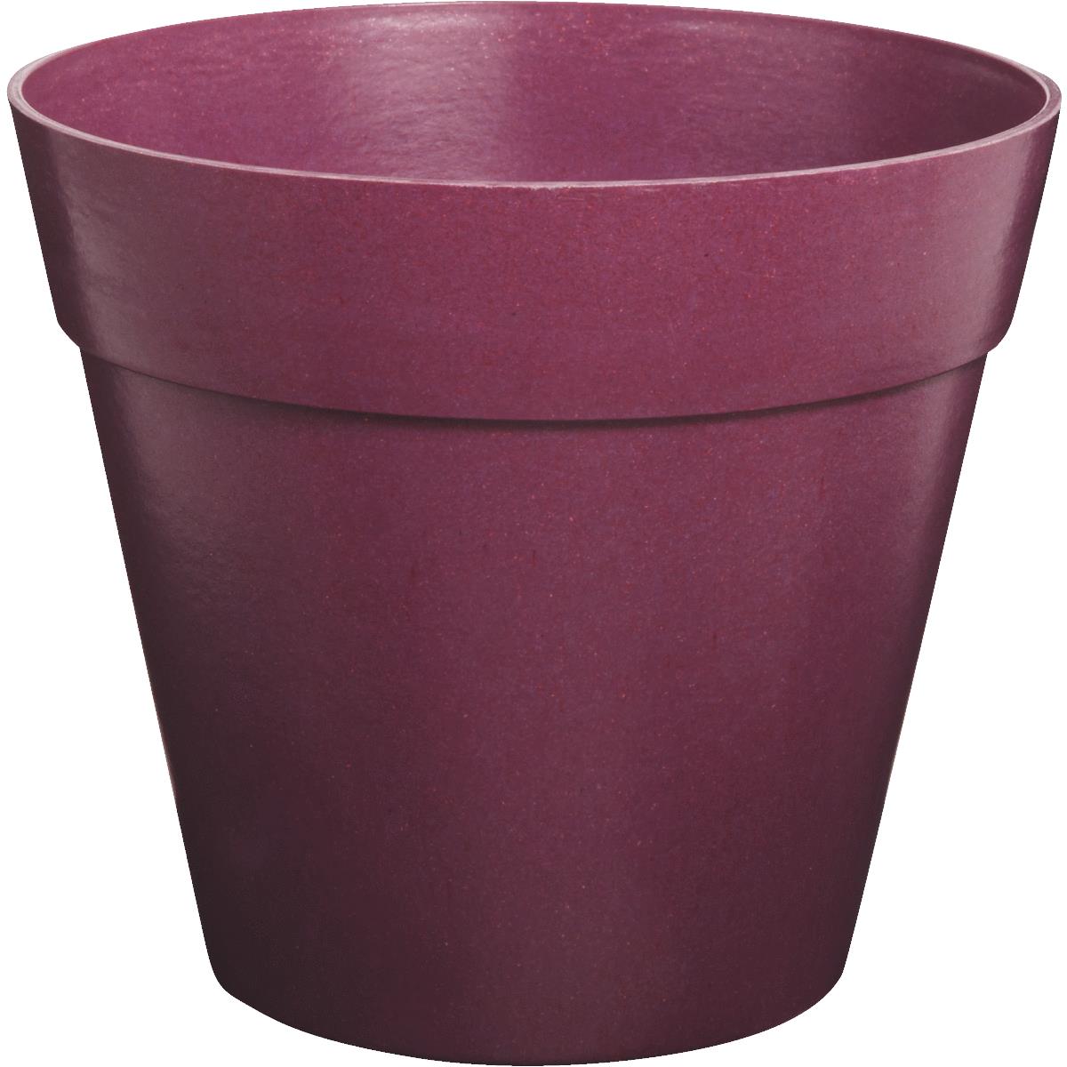 8" BERRY BIODEGRADE POT Image 1