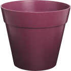 8" BERRY BIODEGRADE POT Image 2