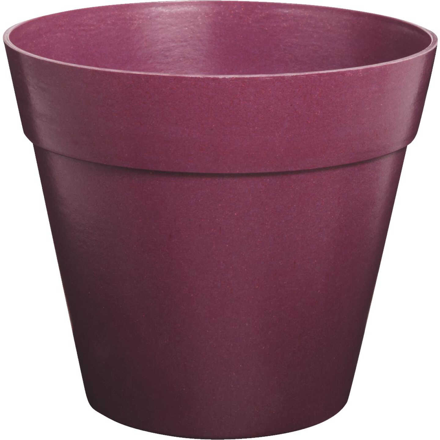 8" BERRY BIODEGRADE POT Image 2