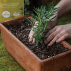 Black Gold 1.5 Cu. Ft. 18 Lb. All Purpose Container Potting Seed Starting Mix Image 3