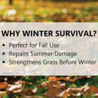Jonathan Green Winter Survival 15 Lb. 5000 Sq. Ft. 10-0-20 Winterizer Fall Fertilizer Image 3