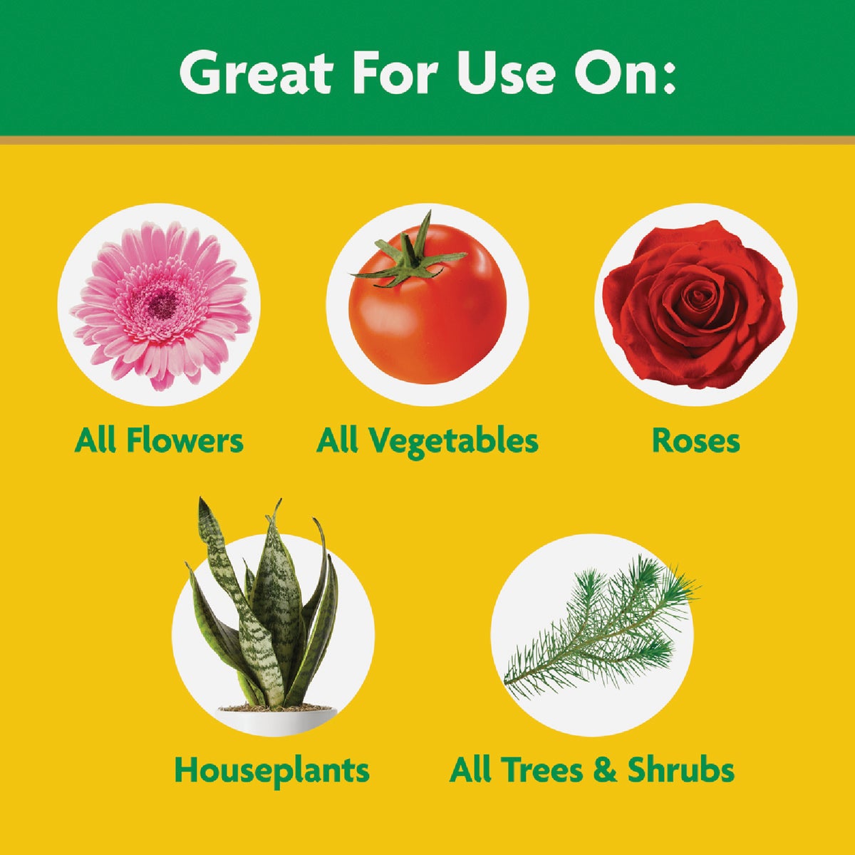 Miracle-Gro 8 Oz. Water Soluble All Purpose Plant Food Image 4