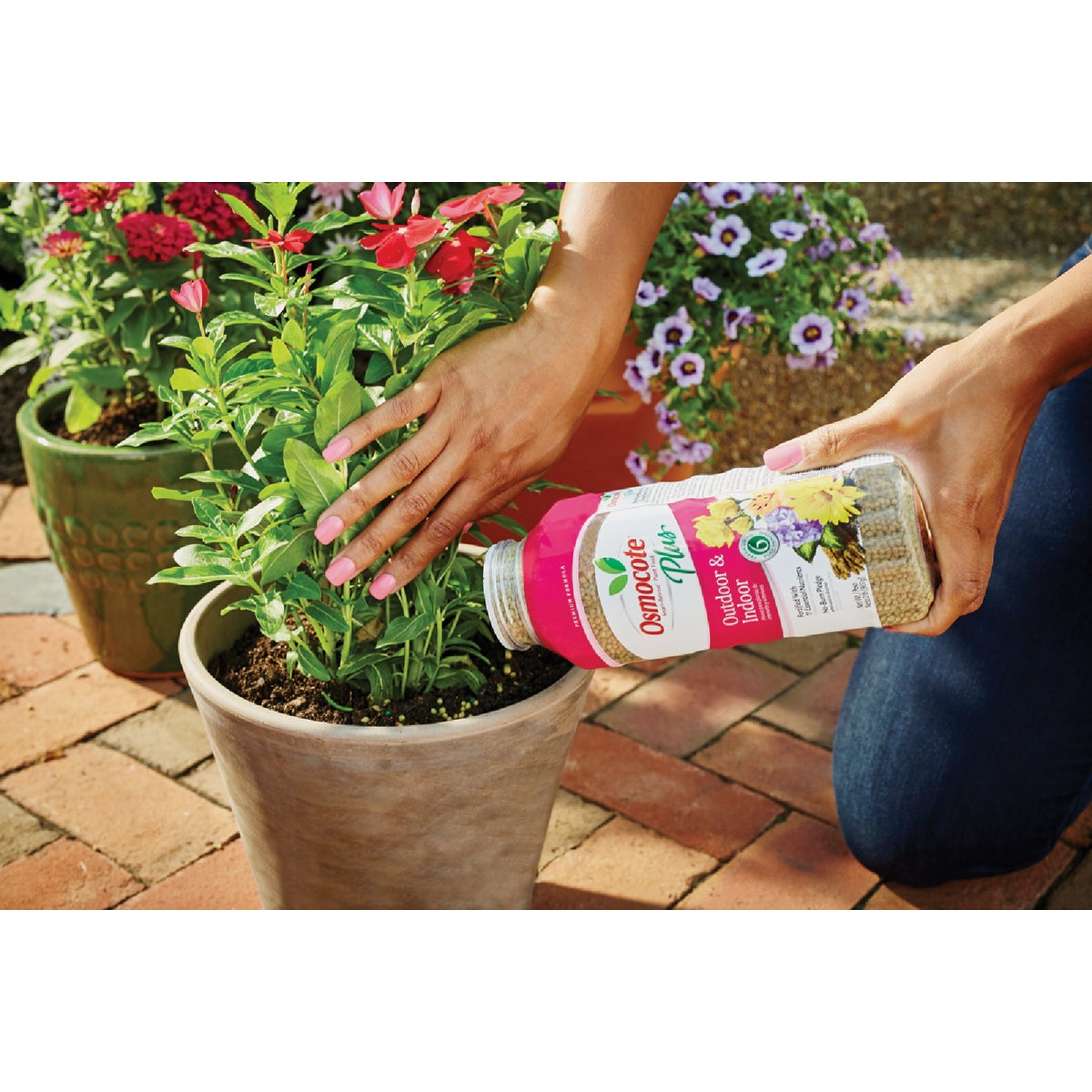 Osmocote Smart-Release Plus 2 Lb. Outdoor & Indoor Plant Food Image 4