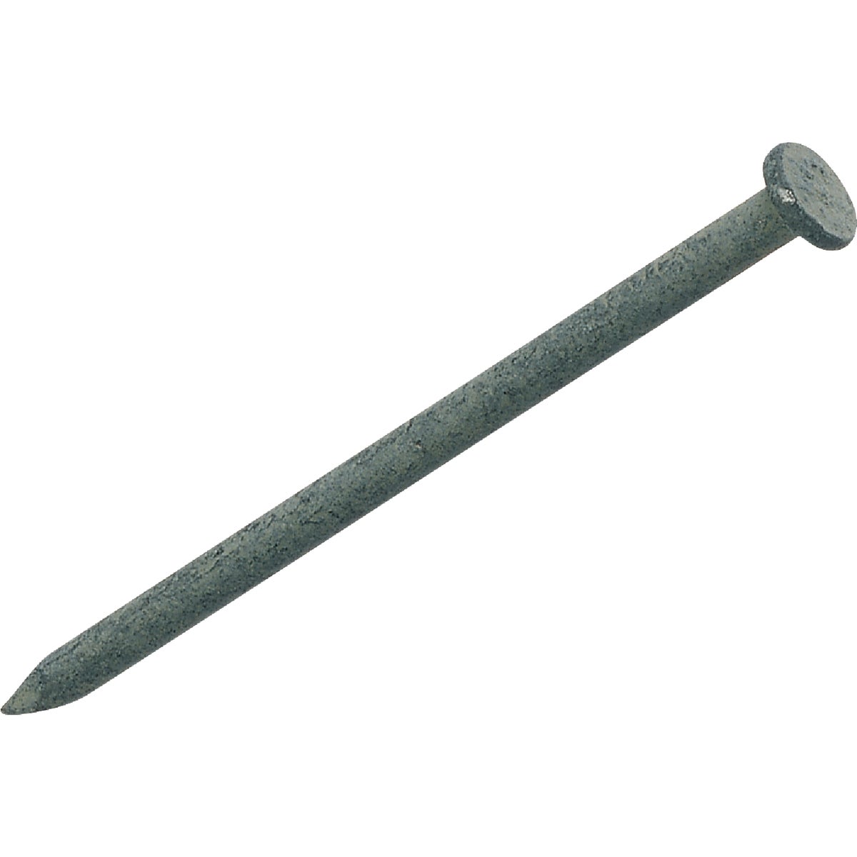 Do it Best 6 In. x 2 ga x 60d Hot Galvanized Common Nails (500-Count, 50 Lb.)