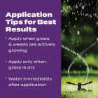 Scotts Turf Builder Bonus S Southern Weed & Feed 33.39 Lb. 10,000 Sq. Ft. Weed Killer Plus Lawn Fertilizer Image 6