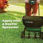 Scotts Turf Builder Bonus S Southern Weed & Feed 33.39 Lb. 10,000 Sq. Ft. Weed Killer Plus Lawn Fertilizer Image 4